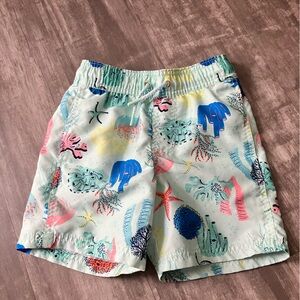 Boys Colorful Sea Life Print Swim Shorts